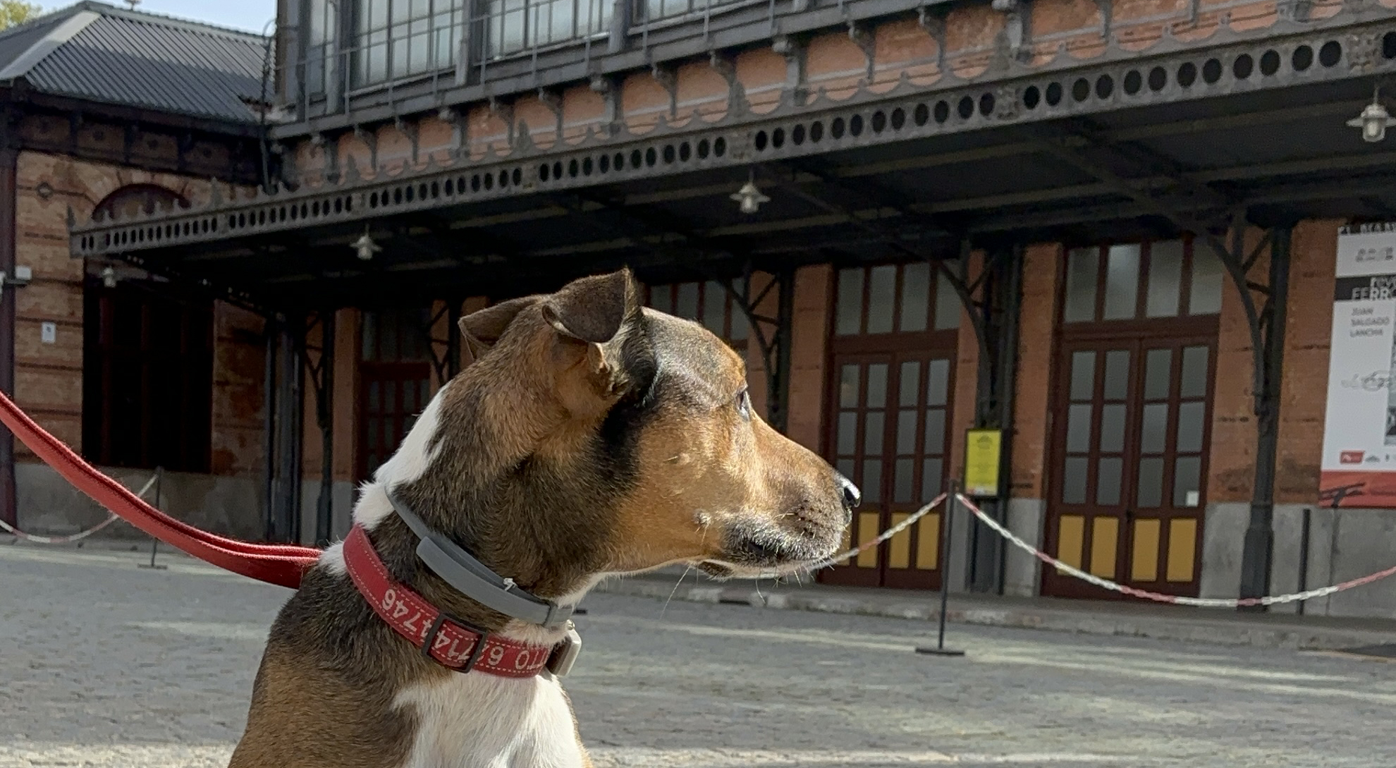 Los museos del Ferrocarril se vuelven dog friendly